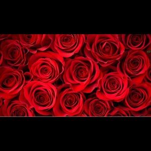 Meet your Posher, Lavonna